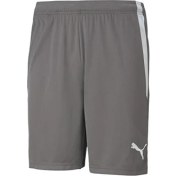 Resim Puma Teamliga Shorts Erkek Futbol Şortu 70492413 Gri 