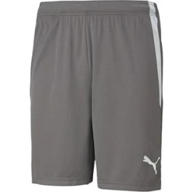 Resim Puma Teamliga Shorts Erkek Futbol Şortu 70492413 Gri 