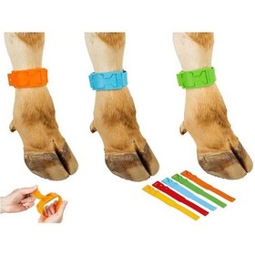 Resim Büyükbaş Ayak Bandı Kırmızı 