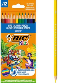 Resim 3 Adet Bıc Smooth Kuru Boya Kalemi 12 Renk Diğer 