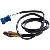 Resim Citroën Oksijen Sensörü 0258006029 Motor Otomobil Parçaları İçin Geçerlidir 0129 