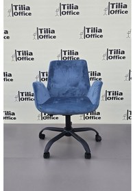 Resim Maki Çalışma Ve Çocuk Koltuğu Siyah Yonca Ayak Mavi 