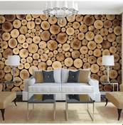 Resim Ahşap Tahta Duvar Posteri (552743412) 