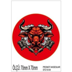 Resim Motorsiklet Otomobil Sticker 2 Adet 004 