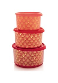 Resim Tupperware Parılı Set 3'Lü Kırmızı Tek Parmak Saklama Kabı Hsgl Çok Renkli 
