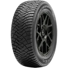 Resim Falken 205/55 R16 94T Xl Winter Peak F-Ice1 Oto Kış Lastiği ( Üretim Yılı: 2023 ) 