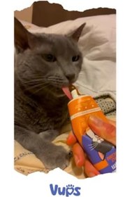 Resim SkyGOO Sindirim Düzenleyici, Tüy Yumağı ve Kusma Önleyici Multivitamin Kedi Malt Macunu 100g revify 827927 