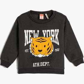 Resim Erkek Bebek Kapşonlu Sweatshirt Şardonlu Kaplan Baskılı Pamuklu 