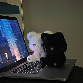 Resim 2 Adet Sevimli Hayvan Karikatür Peluş Kedi Oyuncak - Tüm kedi boyutları ve türleri için uygun, ısırma direnci ve çiğneme dayanıklı, evcil kedilerin eğlencesi, ev dekorasyonu ve iç mekan oyun arkadaşlığı için mükemmel 