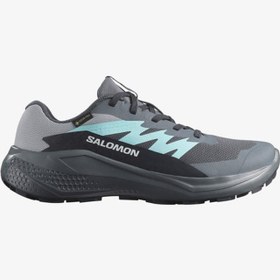 Resim Salomon Alphaglide Gore-Tex Kadın Koşu Ayakkabısı L47802500 (L47802500) 