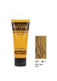 Resim Bigpoint Akrilik Boya 75 ml Mars Yellow 231 