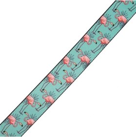 Resim AyrStore Levy's Leathers Polyester Guitar Strap 