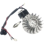 Resim Yüksek Gerilim Torbası Ateşleme, Volan Bujisi Yağ Testere Aksesuarları 