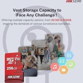 Resim HIKSEMI HS-TF-E1 256 GB Micro SD 