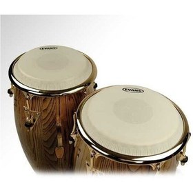 Resim Evans Ec1100e 11" Tri-center Conga Derisi 