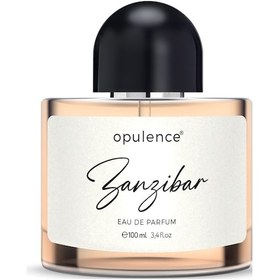 Resim Hc Care Opulence Zanzibar Erkek Parfüm EDP 100 ML 