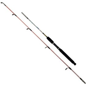 Resim Fishpro Echo 165cm 100-250gr Tekne Kamışı 
