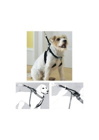 Resim Cosmotex Pawise Dog Training Xs 34"x9-12" Eğitim Tasması Yeşil 