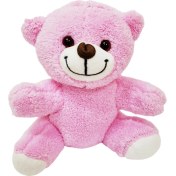 Resim Pembe Peluş Oyuncak Ayıcık 