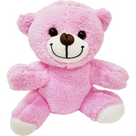 Resim Pembe Peluş Oyuncak Ayıcık 