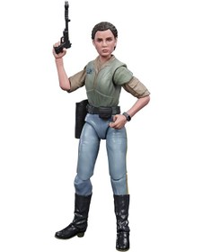 Resim Hasbro The Series Leia Organa Endor Aksiyon Figürü 