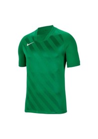 Resim Nike Dry Jersey Challenge Iıı Bv6703-302 Erkek Forma Yeşil 
