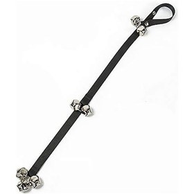 Resim Singree Ayarlanabilir Köpek Eğitim Çanı - Tuvalet Eğitimi İçin Nylon Ve Metal Kapı Zili 