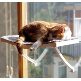 Resim Esranın Dünyası Cama Asılan Vantuzlu Plastik Kedi Yatağı (Beyaz) 