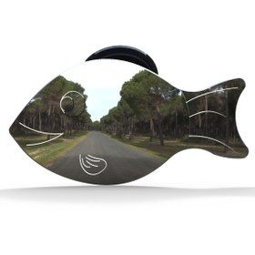 Resim MOTAYSAN Vantuzlu Bebek Dikiz Aynası Balık 8x16 Cm 