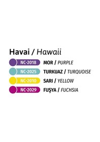 Resim Akrilik Pouring Seti Hawaii Nc-2508 Karışık Çok Renkli 