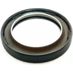 Resim Payen Krank Keçesi Ön 7701473494 Clıo Iı Iıı 