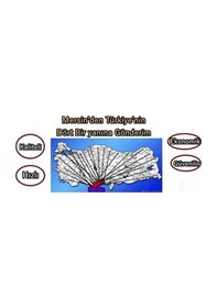 Resim 6000 ZZ metal bilyalı rulman 