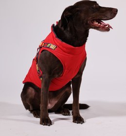 Resim Pawlook Design Göğüs Tasmalı Köpek Montu - Kırmızı / L 