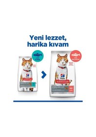 Resim Hill's Somon Balıklı Kısırlaştırılmış Kedi Maması 3 Kg 