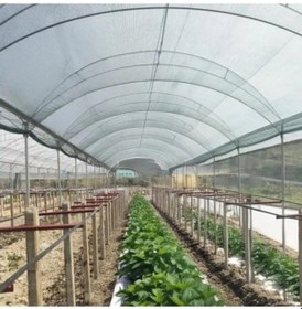 Resim Fındık Toplama Filesi - Düz Yeşil, Dayanıklı Malzeme, 4 M X 1 M 
