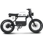 Resim Ape Ryder Gibbon Elektrikli Bisiklet 