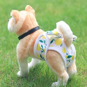 Resim Yeniden Kullanılabilir Köpek Külotu, Ayarlanabilir Emicilik, Yıkanabilir Poliester Evcil Hayvan İç Çamaşırı, Kurdeleli Yeniden Kullanılabilir Adetlik, Nefes Alabilen Dişi Köpek Külotları 
