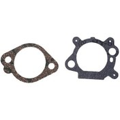 Resim 49-305 Karbüratör Yenileme Kiti Uyumlu Uyumlu Briggs & Stratton 493762 498260 492495 F7qc 