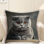 Resim 1 Adet İskoç Kat Kedisi, Yumuşak ve Pürüzsüz Polyester Polar Kumaş, Tek Taraflı Baskılı Desenli, Yastık İçermez, 45.01*45.01 cm, Kanepe, Oturma Odası, Yatak Odası, Ofis Dekoru için Uygun 