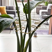 Resim Dayanıklı Monstera Destek Sistemi - Bambu Tutamaçlı Metal Tırmanıcı Bitki Eğitici, Sağlıklı Bitki Büyümesi İçin İdeal, Güvenli ve Dekoratif Bahçe Desteği | Tırmanıcı Bitki Desteği | Metal Stabilizatör 