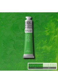 Resim Wn Winton Yağlı Boya 200 ML No:48 Permanent Green Light 