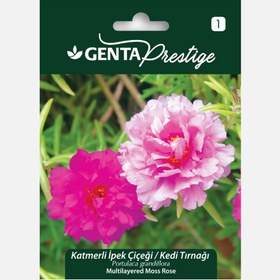 Resim Genta Prestige Katmerli İpek Çiçeği Kedi Tırnağı Tohumu 