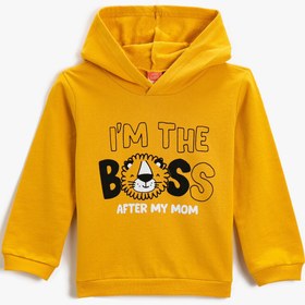 Resim Erkek Bebek Kapüşonlu Sweatshirt Pamuklu 
