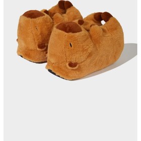 Resim Defacto Kadın Düz Taban Panduf F1608ax25wnbn340 Kahve-bn340 