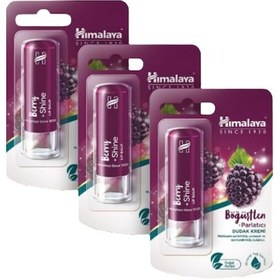 Resim Himalaya Berry Parlatıcı ve Nemlendirici Dudak Bakım Kremi 3 x 4.5 G 