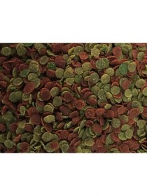 Resim Amore Elite Protein Chips 250ML + Pro Colour 250ML + Protein Garlic 250ML Malawi Cichlid Balık Yemi 