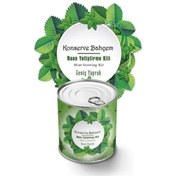Resim Leyloş Buffer® Konserve Bahçem Nane Yetiştirme Kiti 