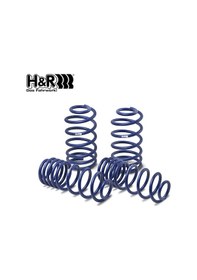 Resim Ford Mustang Gt 2015- Sonrası H&r Spor Yay -25mm 