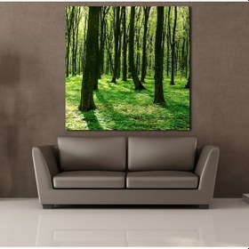 Resim Orman Kanvas Tablo 200x200cm 