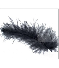 Resim Ne Verelim Size Cam Ocak Arkası Koruyucu Ankastre Arkası Koruyucu | Syah Kuş Tüyü 